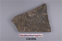 藏品(鷹爪化石)的圖片